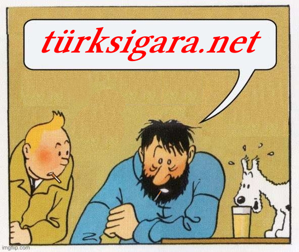 tenten turksigara